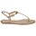 Chaussures Femme Sandales et Nu-pieds Michael Kors MK18017 Gold