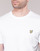 Vêtements Homme T-shirts manches courtes Lyle & Scott FAFARLITE Blanc