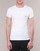 Abbigliamento Uomo T-shirt maniche corte Emporio Armani CC716-111035-00010 Bianco