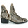 Chaussures Femme Boots Steve Madden CONSPIRE Beige / python