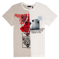 Vêtements Garçon T-shirts manches courtes Ikks RULIO Beige / Blanc