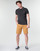 Vêtements Homme Shorts / Bermudas Timberland SQUAM LAKE STRETCH TWILL STRAIGHT CHINO SHORT Beige