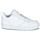 Chaussures Enfant Baskets basses Nike COURT BOROUGH LOW 2 GS Blanc