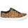 Schuhe Damen Sneaker Low Timberland SKYLA BAY LEATHER OXFORD Braun,