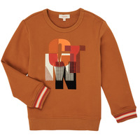 Kleidung Jungen Sweatshirts Catimini CR15024-63-C Braun,
