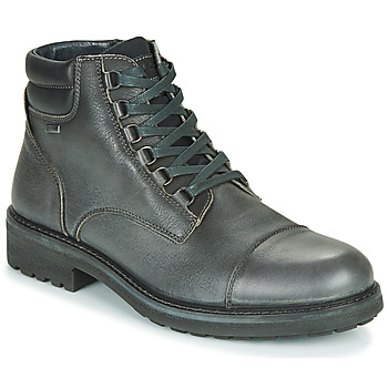Chaussures Homme Boots IgI&CO UOMO FREDDY GTX 