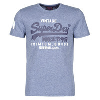 Abbigliamento Uomo T-shirt maniche corte Superdry VL NS TEE 