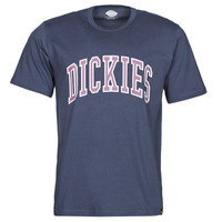 Vêtements Homme T-shirts manches courtes Dickies AITKIN 