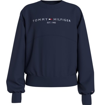 Vêtements Fille Sweats Tommy Hilfiger KG0KG05764-C87 
