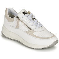 Schuhe Damen Sneaker Low Geox D AIRELL A Weiß / Beige