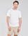Kleidung Herren T-Shirts Polo Ralph Lauren T-SHIRT AJUSTE COL ROND EN PIMA COTON LOGO PONY PLAYER MULTICOLO Weiß