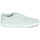 Schuhe Herren Sneaker Low Globe MOTLEY Grau / Weiß