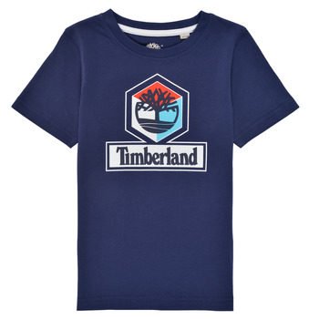 Vêtements Garçon T-shirts manches courtes Timberland GRISS 
