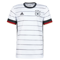 Kleidung Herren T-Shirts adidas Performance DFB H JSY Weiß
