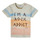 Vêtements Garçon T-shirts manches courtes Ikks XS10061-60 
