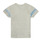 Vêtements Garçon T-shirts manches courtes Ikks XS10061-60 
