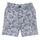 Vêtements Garçon Shorts / Bermudas Ikks XS25021-45 