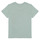 Vêtements Garçon T-shirts manches courtes Ikks XS10131-50 