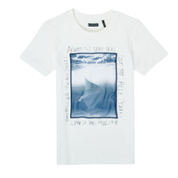 Kleidung Jungen T-Shirts Ikks XS10033-19-J Weiß