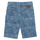 Vêtements Garçon Shorts / Bermudas Ikks XS25253-82-J 