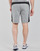 Kleidung Herren Shorts / Bermudas Puma EVOSTRIPE SHORTS 8 Grau