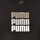 Kleidung Mädchen T-Shirts Puma ALPHA TEE    