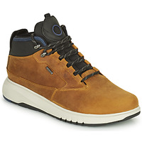 Chaussures Homme Boots Geox AERANTIS 