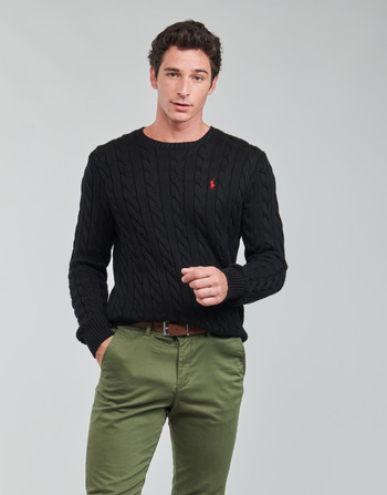 Kleidung Herren Pullover Polo Ralph Lauren SERINA    