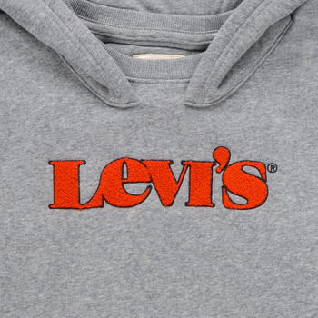 Levi's GRAPHIC PULLOVER HOODIE 