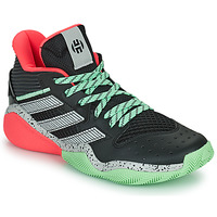 Schuhe Basketballschuhe adidas Performance HARDEN STEPBACK Grau