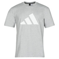 Vêtements Homme T-shirts manches courtes adidas Performance M FI 3B TEE 