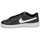Chaussures Femme Baskets basses Nike WMNS NIKE COURT ROYALE 2 NN 