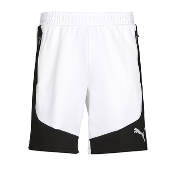 Kleidung Herren Shorts / Bermudas Puma EVOSTRIPE SHORTS Weiß