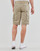 Vêtements Homme Shorts / Bermudas Teddy Smith SYTRO 3 
