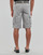 Kleidung Herren Shorts / Bermudas Teddy Smith SYTRO 3 Grau / Hell