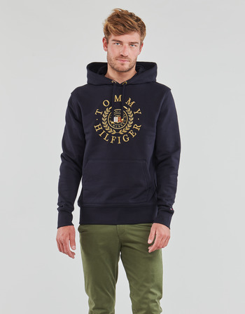 Vêtements Homme Sweats Tommy Hilfiger ICON ROUNDALL GRAPHIC HOODY 