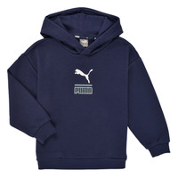 Kleidung Jungen Sweatshirts Puma ALPHA HOODIE Marineblau