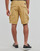 Kleidung Herren Shorts / Bermudas Napapijri NOTO 5 Beige