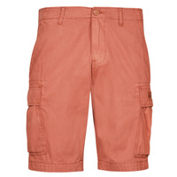 Abbigliamento Uomo Shorts / Bermuda Napapijri NUS 
