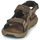 Schuhe Herren Sportliche Sandalen Columbia Trailstorm Hiker 3 Strap Braun,