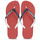 Schuhe Zehensandalen Havaianas BRASIL MIX Rot