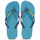 Schuhe Zehensandalen Havaianas BRASIL LOGO Blau