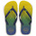 Schuhe Zehensandalen Havaianas BRASIL FRESH Blau / Gelb