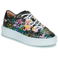 Scarpe Donna Sneakers basse Ted Baker LONNIA 