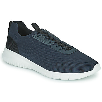 Chaussures Homme Baskets basses Geox U MONREALE 