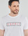 Vêtements Homme T-shirts manches courtes Esprit BCI N cn aw ss 