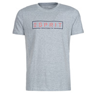Kleidung Herren T-Shirts Esprit BCI N cn aw ss Grau