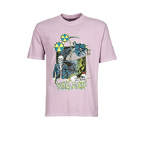 Abbigliamento Uomo T-shirt maniche corte Volcom RICHARD FRENCH 2 FA GD LSE SS 