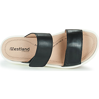 Westland ALBI 03 