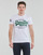 Abbigliamento Uomo T-shirt maniche corte Superdry VL TEE 